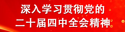 深入学习贯彻党的二十届四中全会精神